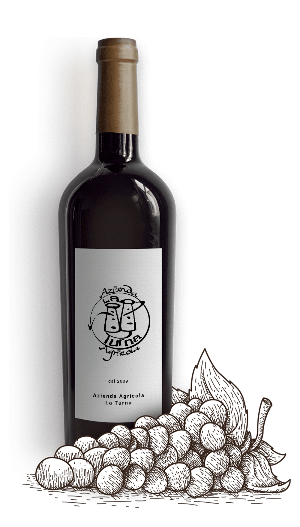 Bottiglia con uva etichetta logo
